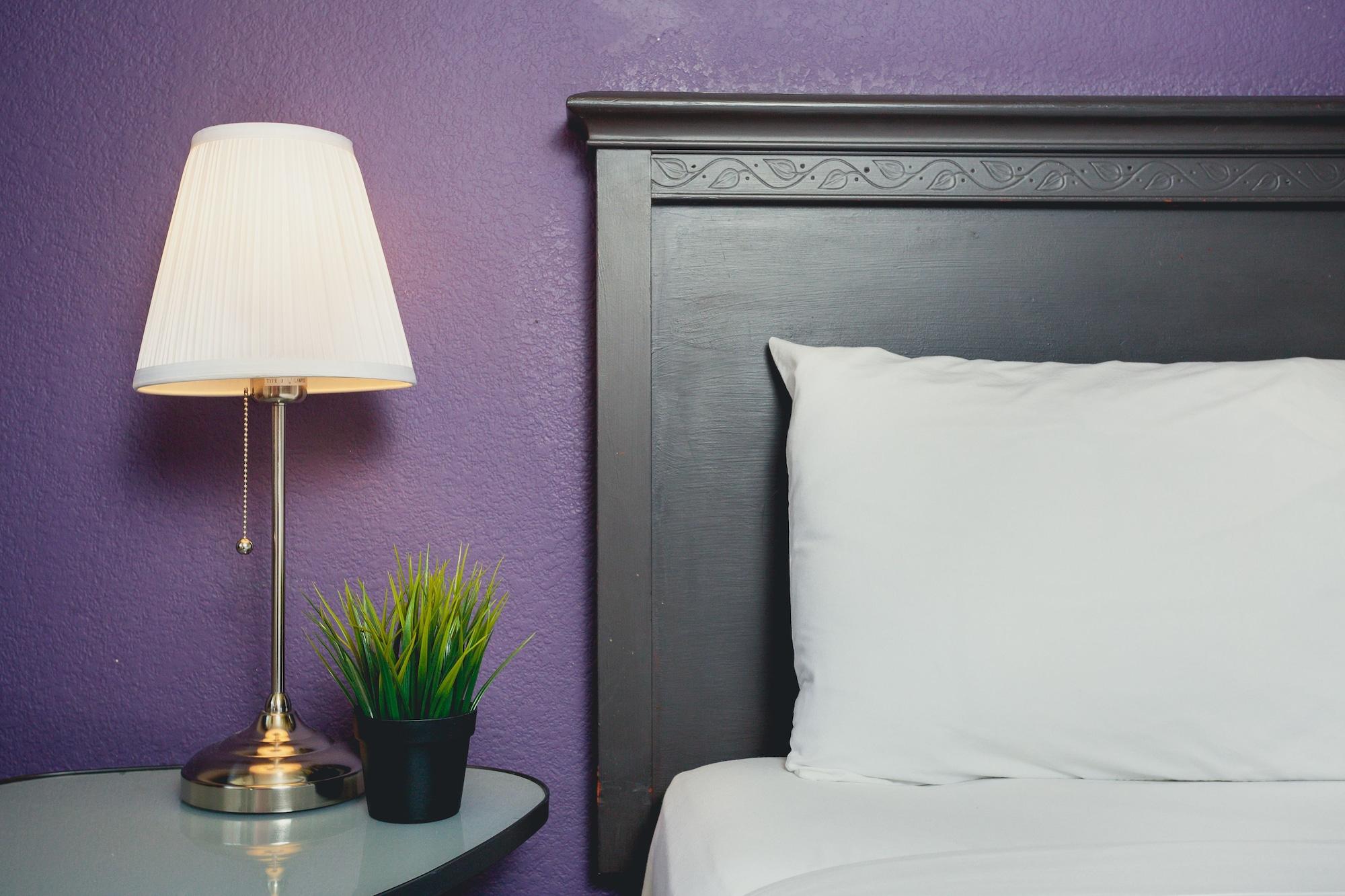 Alura Inn San José Extérieur photo