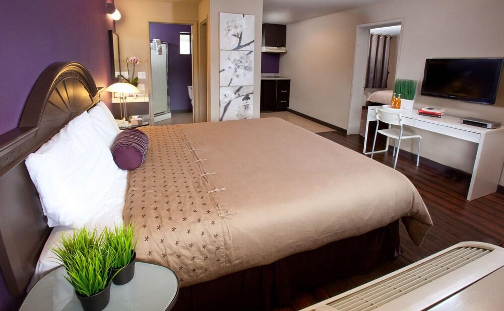 Alura Inn San José Extérieur photo