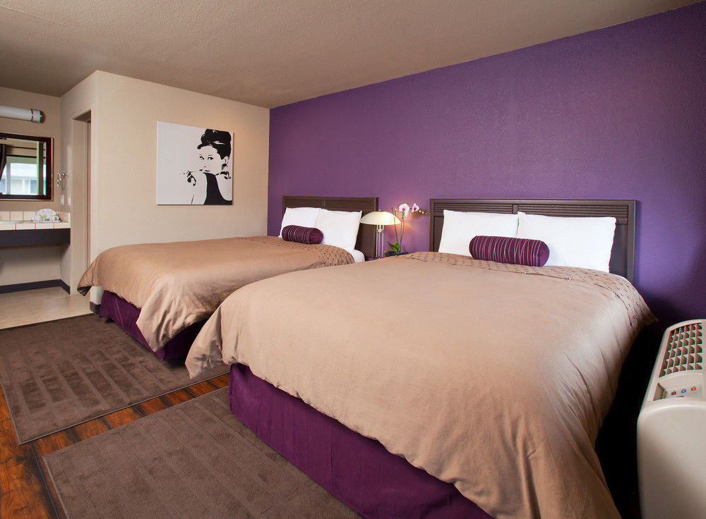Alura Inn San José Extérieur photo